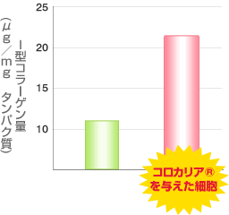 I型コラーゲン量グラフ