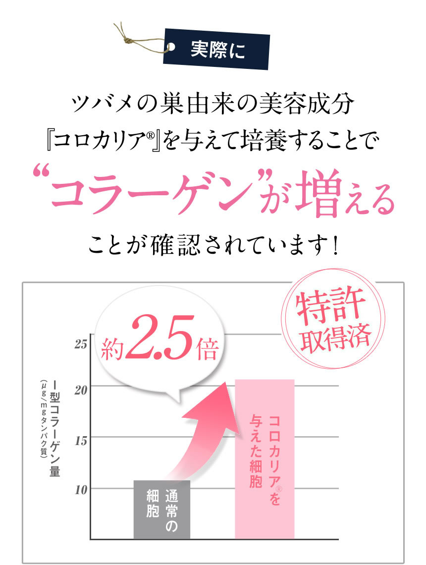 実際にツバメの巣由来の見様成分「コロカリア(R)」を与えて培養するとことで”コラーゲンが増える”ことが確認されています！（特許取得済）