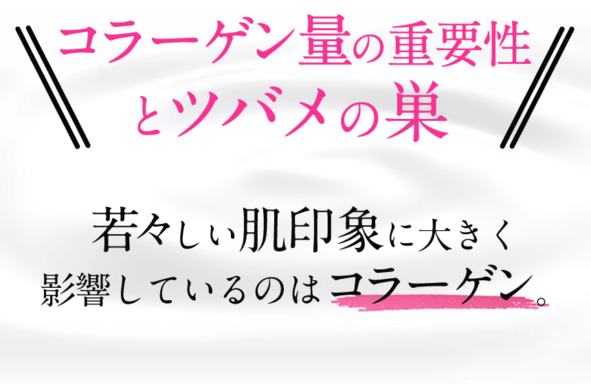 コラーゲン量の重要性とツバメの巣若々しい肌印象に大きく影響しているのはコラーゲン。