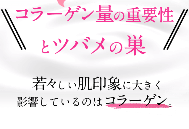 コラーゲン量の重要性とツバメの巣若々しい肌印象に大きく影響しているのはコラーゲン。