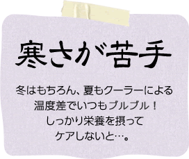 寒さが苦手「冬はもちろん、夏もクーラーによる温度差でいつもピリピリ！しっかり栄養を摂ってケアしないと・・・。」