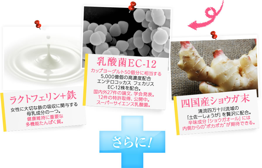 ・ラクトフェリン+鉄「女性に大切な鉄の吸収に関与する母乳成分の一つ。健康維持に重要な多機能たんぱく質。」・乳酸菌EC-12「カップヨーグルト50個分に相当する5,000億個の高濃度配合エンデロコッカス フェカリス EC12株を配合。国内外27件の特許取得、公開中。スーパーサイエンス乳酸菌。」・四国産ショウガ末「清流四万十川流域の土佐一しょうがを贅沢に配合。辛味成分ショウガオールには内側からのポカポカが期待できる。」さらに!