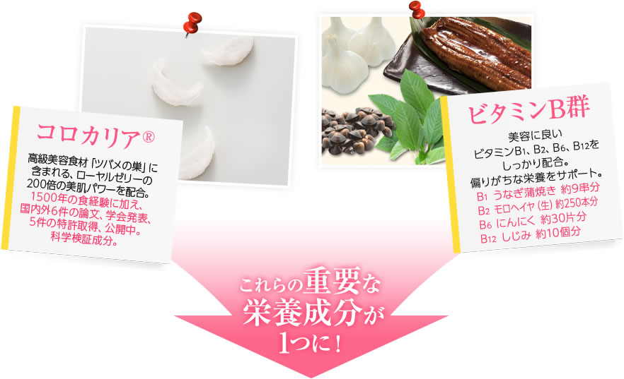 ・コロカリア®「高級美容食材ツバメの巣に含まれる、ローヤルゼリーの200倍の美肌パワーを配合。1500年の食経験に加え、国内外6件の論文、学会発表、5件の特許取得、公開中。科学検証成分。」・ビタミンB群「美容に良いビタミンB1、B2、B6、B12をしっかり配合。偏りがちな栄養をサポート。B1(うなぎ蒲焼き約9串分)、B2(モロヘイヤ生約250本分)、B6(にんにく約30片分)、B12(しじみ約10個分)」