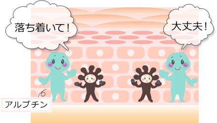 アルブチンイメージ