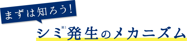 まずは知ろう！シミ発生のメカニズム