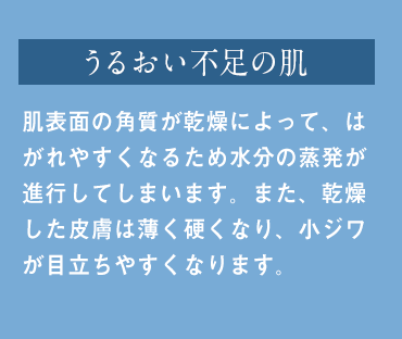 うるおい不足の肌 肌表面の角質が乾燥によって、はがれやすくなるため水分の蒸発が進行してしまいます。また、乾燥した皮膚は薄く硬くなり、小ジワが目立ちやすくなります。