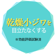 乾燥小ジワを立たなくする ※効能評価試験済